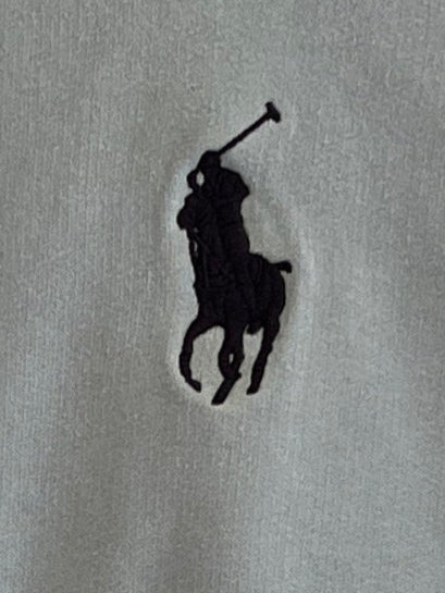 POLO RALPH LAUREN HOODIE MET POLO LOGO