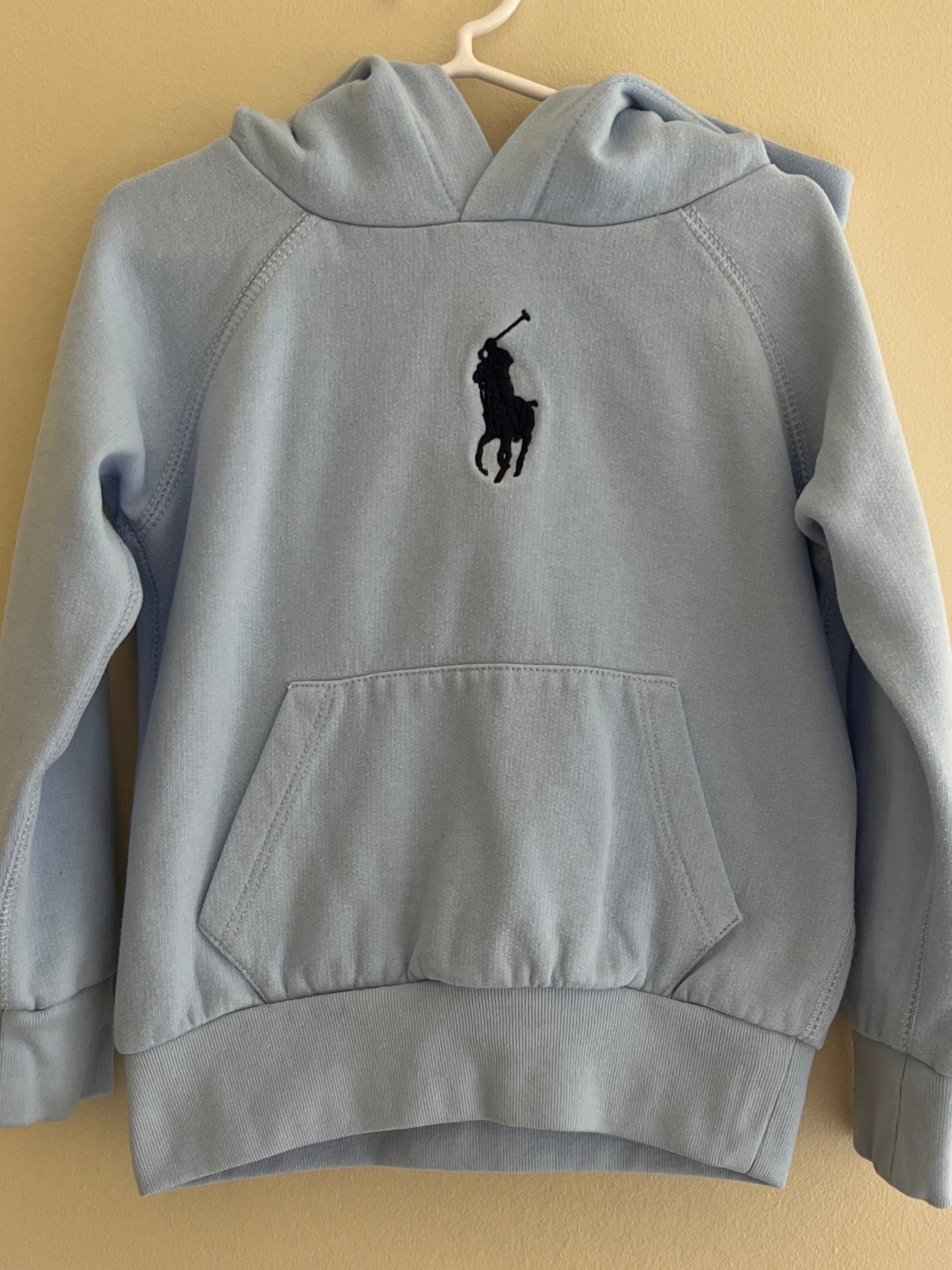 POLO RALPH LAUREN HOODIE MET POLO LOGO